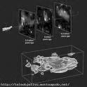20080406112454-materiaoscura.jpg