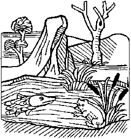 20080930193112-ffissh20.gif